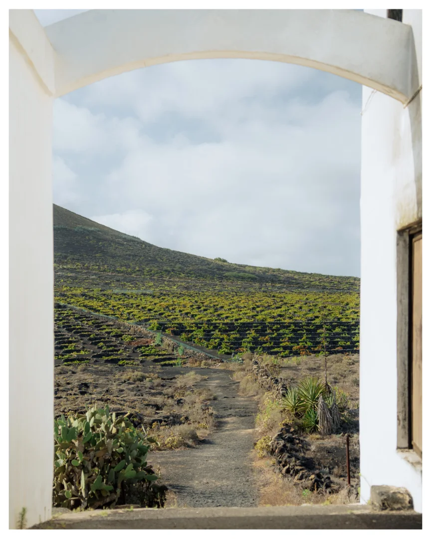 Photo from Lanzarote, Canary by Matteo Stanca Taza