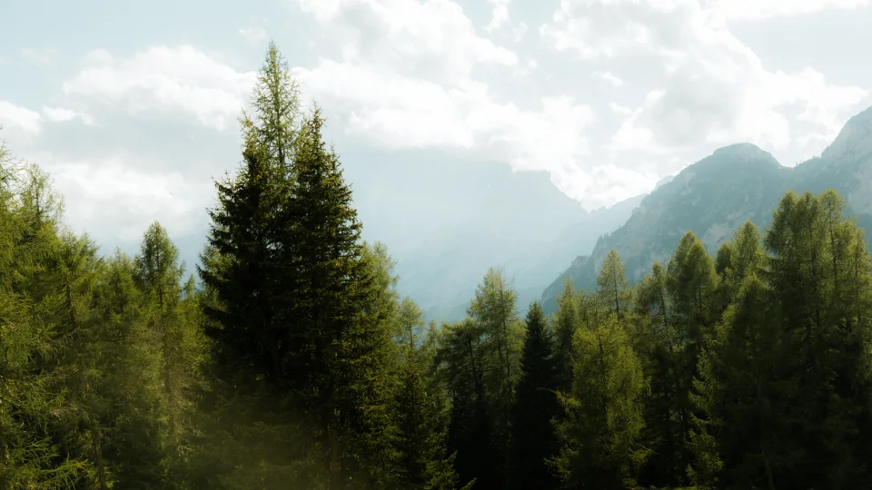 Dolomites, Italy — frame 46 of 59