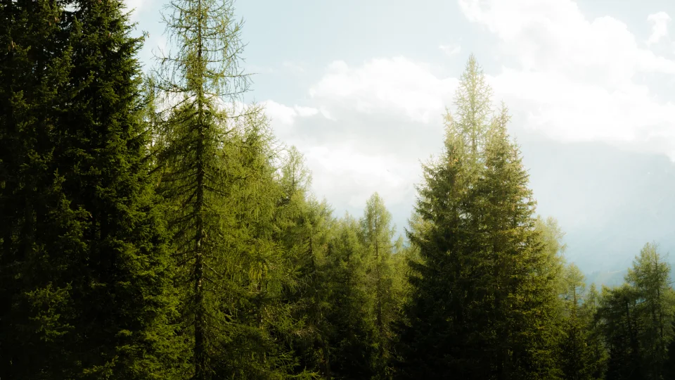 Dolomites, Italy — frame 45 of 59