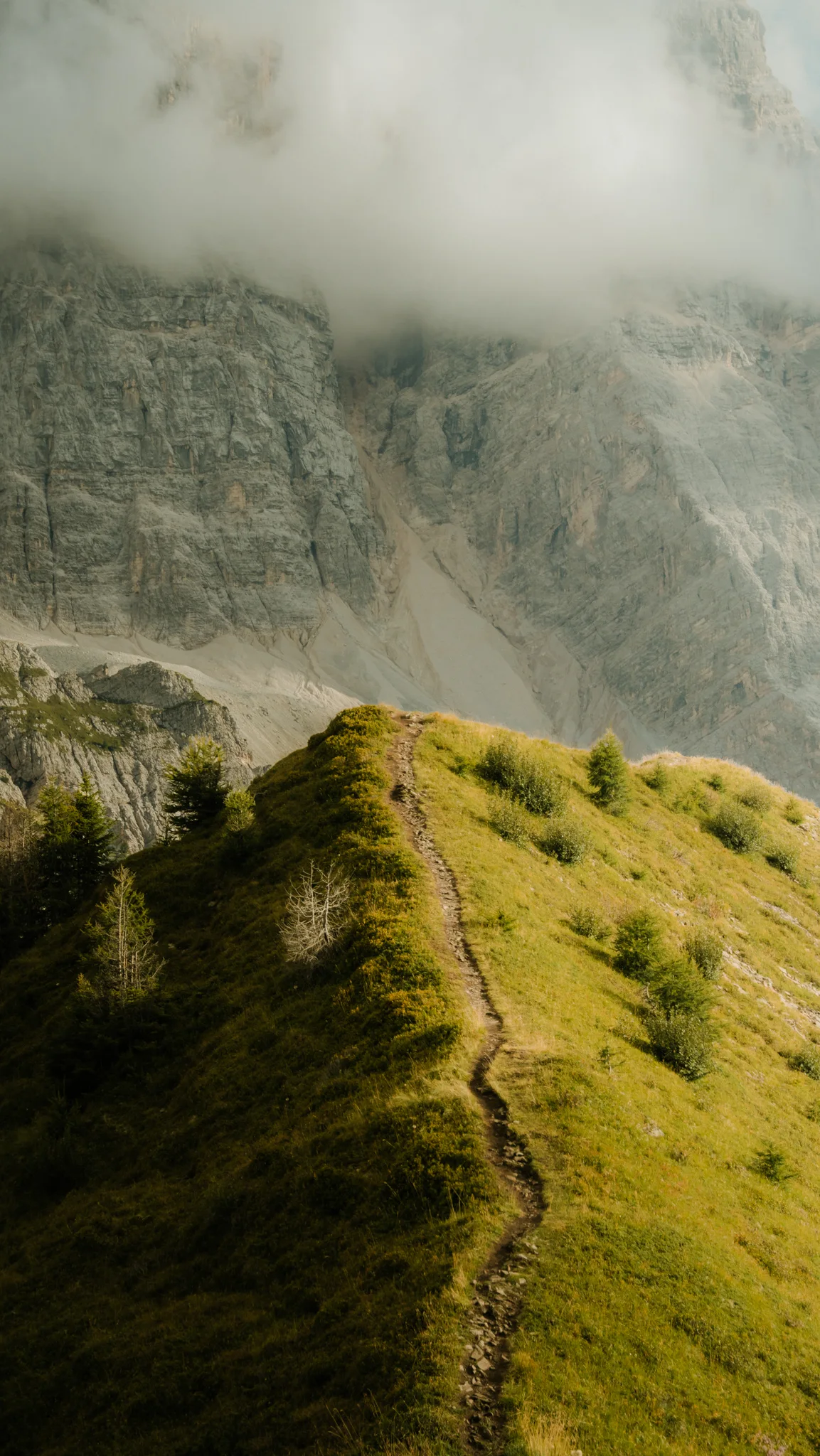 Dolomites, Italy — frame 55 of 59